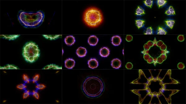 Animalia Lumis is a VJ pack created by Protobacillus