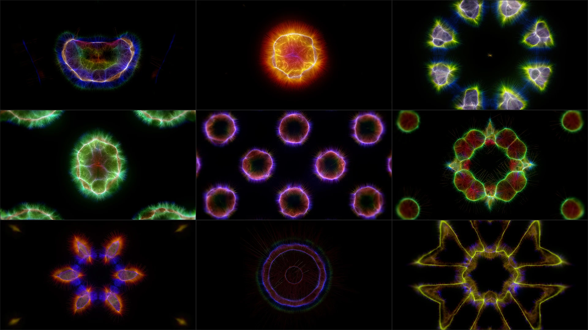 Animalia Lumis is a VJ pack created by Protobacillus