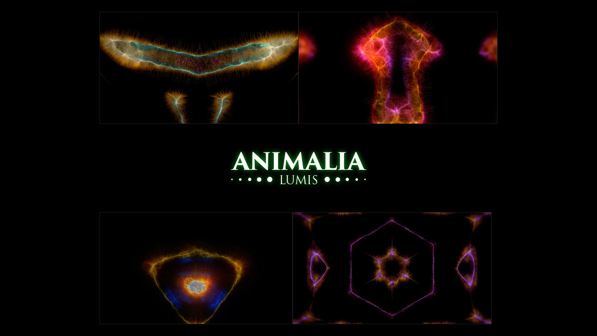 Animalia Lumis is a VJ pack created by Protobacillus