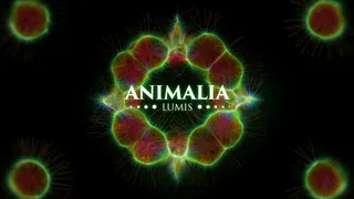 Animalia_Lumis_cover_animated Animalia Lumis is a VJ pack created by Protobacillus