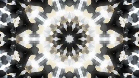 Symmetry, Silver, Pattern, Motif, Fractal art, VJ Pack created by Proto, Protobacillus, Protoloops, Video loop