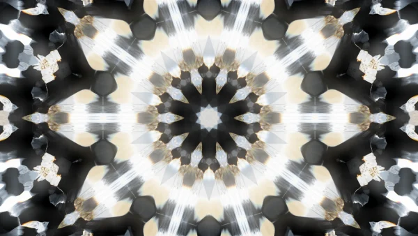 Protoloop_T_31_quality_sample Symmetry, Silver, Pattern, Fractal art, Motif, VJ Pack created by Proto, Protobacillus, Protoloops, Video loop
