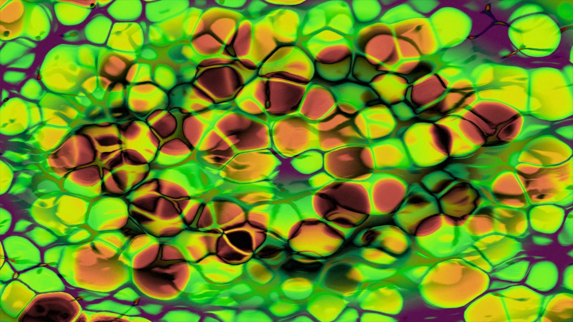 Yellow, Orange, Symmetry, Fractal art, Modern art, Graphics, Psychedelic art, Science, VJ Pack created by Proto, Protobacillus, Protoloops, Video loop