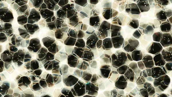Protoloop_T_43_quality_sample Close-up, Grey, Symmetry, VJ Pack created by Proto, Protobacillus, Protoloops, Video loop