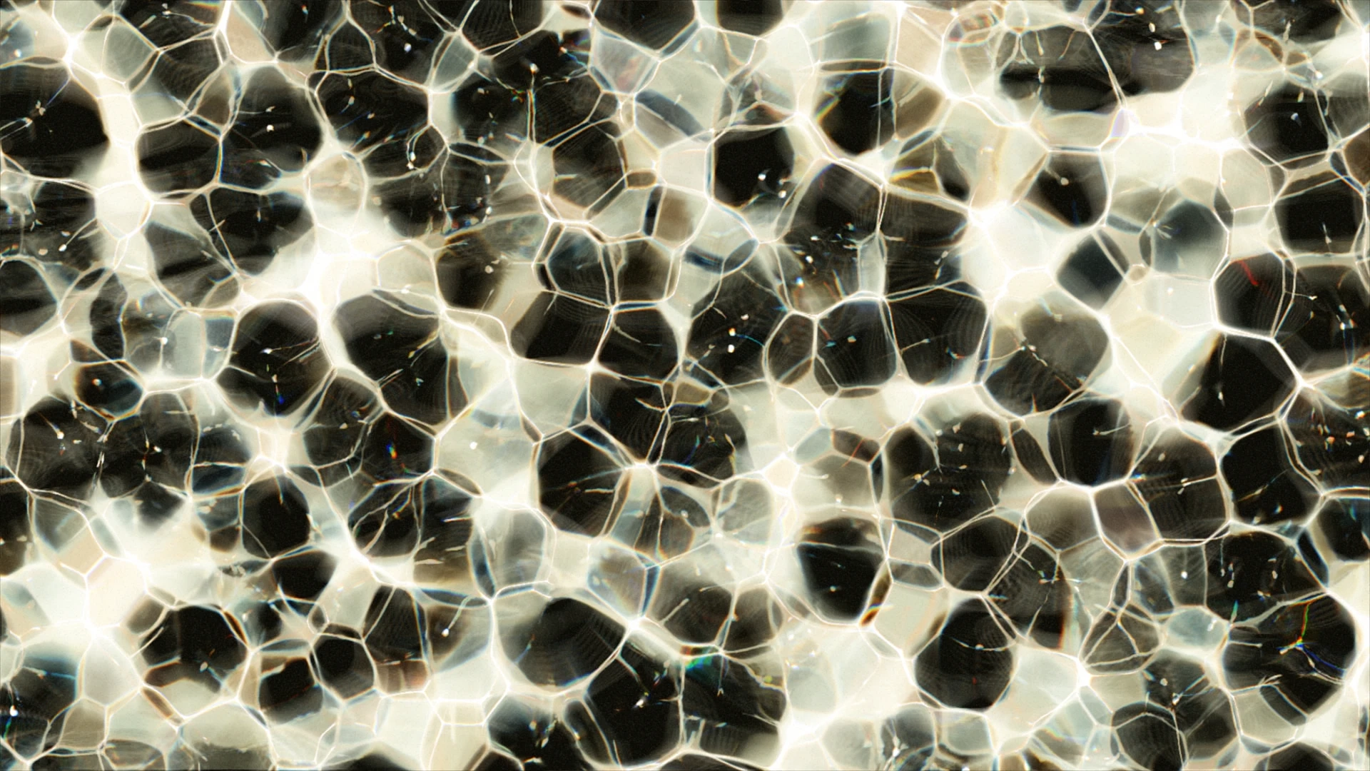 Close-up, Grey, Symmetry, VJ Pack created by Proto, Protobacillus, Protoloops, Video loop