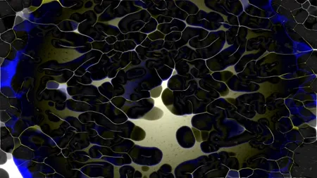 Symmetry, Fractal art, Graphics, Science, Graphic design, VJ Pack created by Proto, Protobacillus, Protoloops, Video loop
