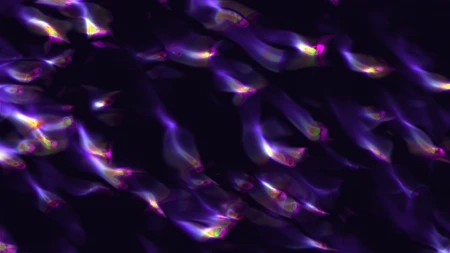 Purple, Pink, Night, Graphics, VJ Pack created by Proto, Protobacillus, Protoloops, Video loop