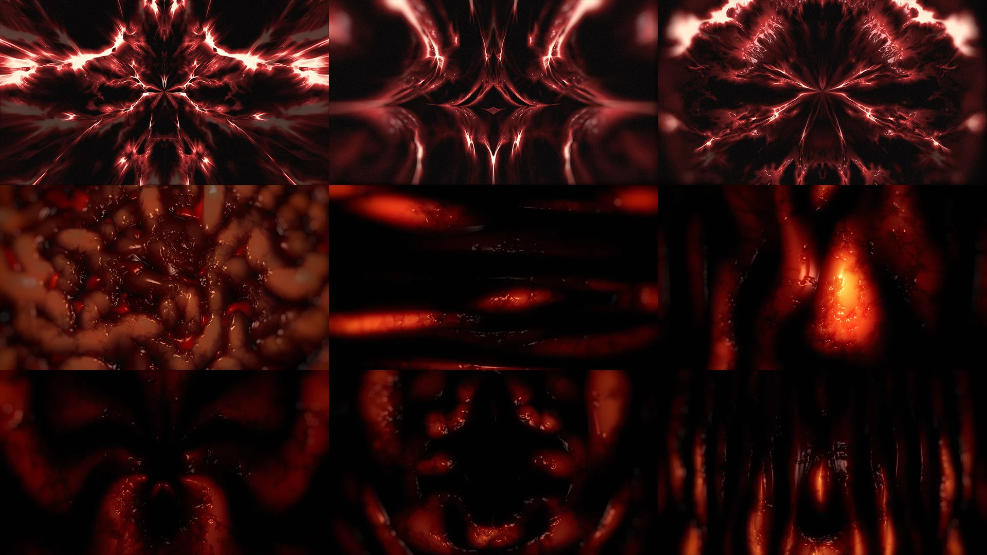 VISCERAL, Red, Orange, Fractal art, Symmetry, Graphics, VJ Pack created by Proto, Protobacillus, Protoloops, Video loop