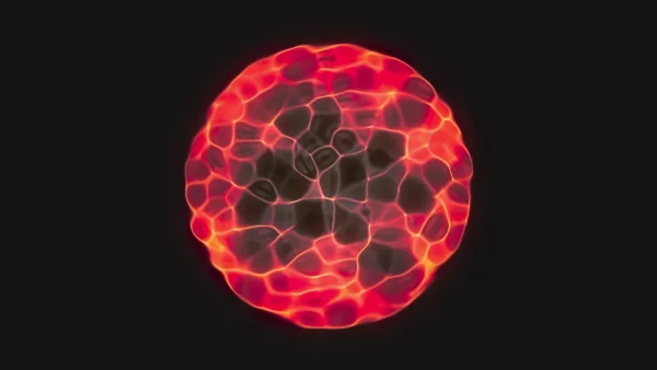 Protoloop_G_008_quality_sample Protoloop G 008 (Circle, Red, Organic) video loop created by Protoloops | Protobacillus | Proto
