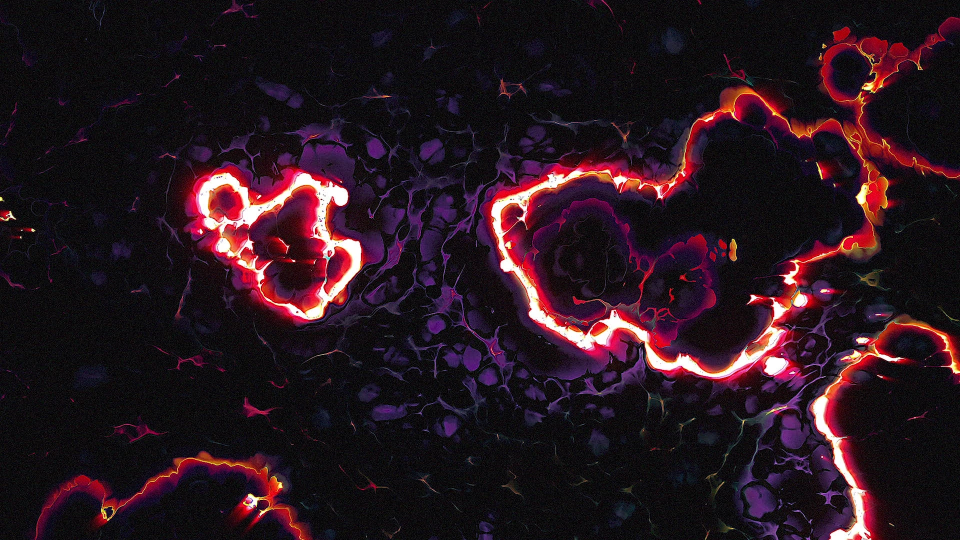 Protoloop G 018 | Organic, Dark, Red, Light | video loop created by Protoloops | Protobacillus | Proto