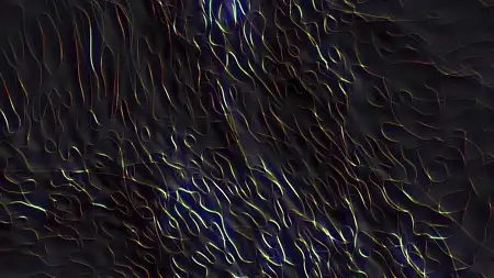 Protoloop G 024 | Pattern, Fibers, Dark, Black | video loop created by Protoloops | Protobacillus | Proto