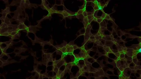 Protoloop G 030 | Dark, Green, Red, Light, Organic | video loop created by Protoloops | Protobacillus | Proto