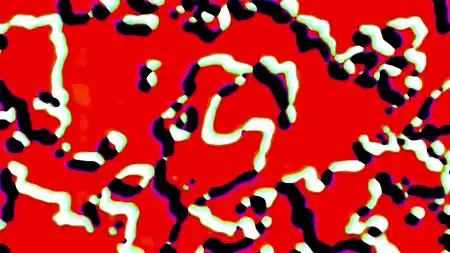 Protoloop G 054 | Organic, Circle, Black, White | video loop created by Protoloops | Protobacillus | Proto