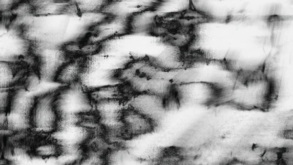 Protoloop G 073 | Black and White, Organic | video loop created by Protoloops | Protobacillus | Proto