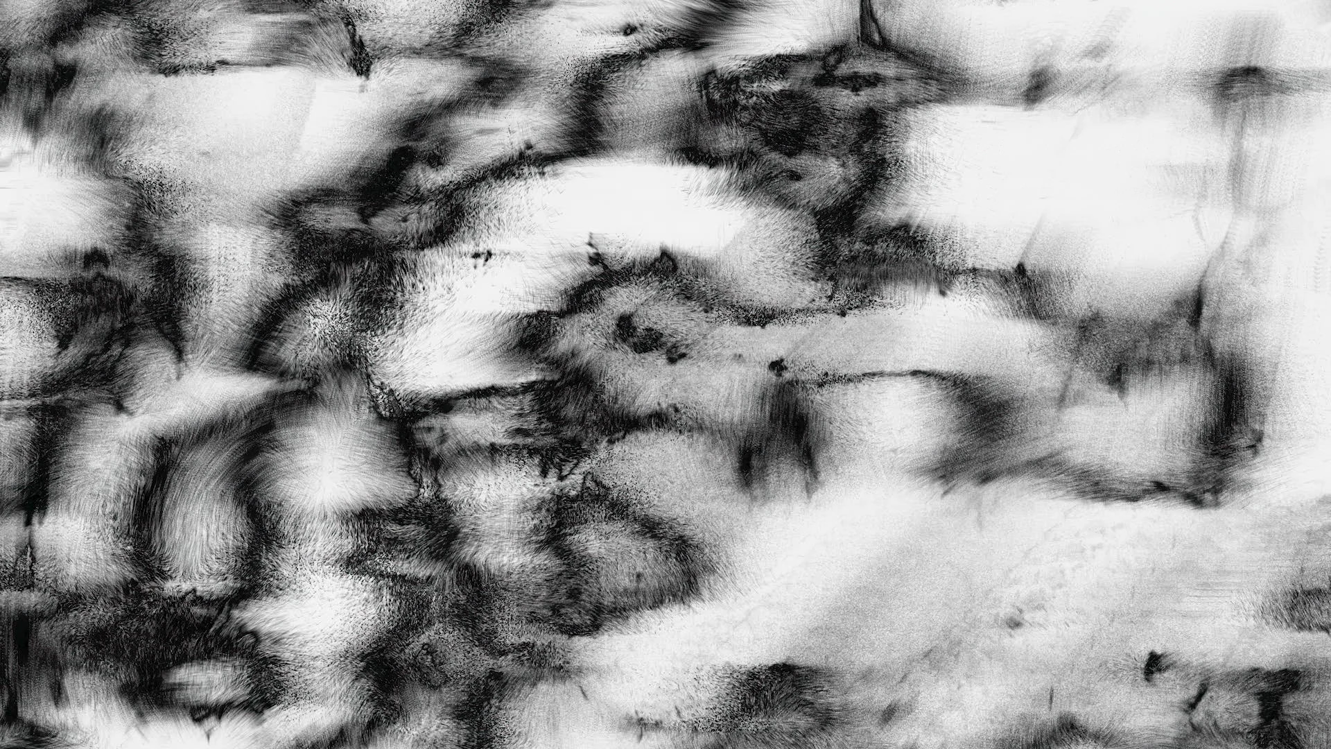 Protoloop G 073 | Black and White, Organic | video loop created by Protoloops | Protobacillus | Proto