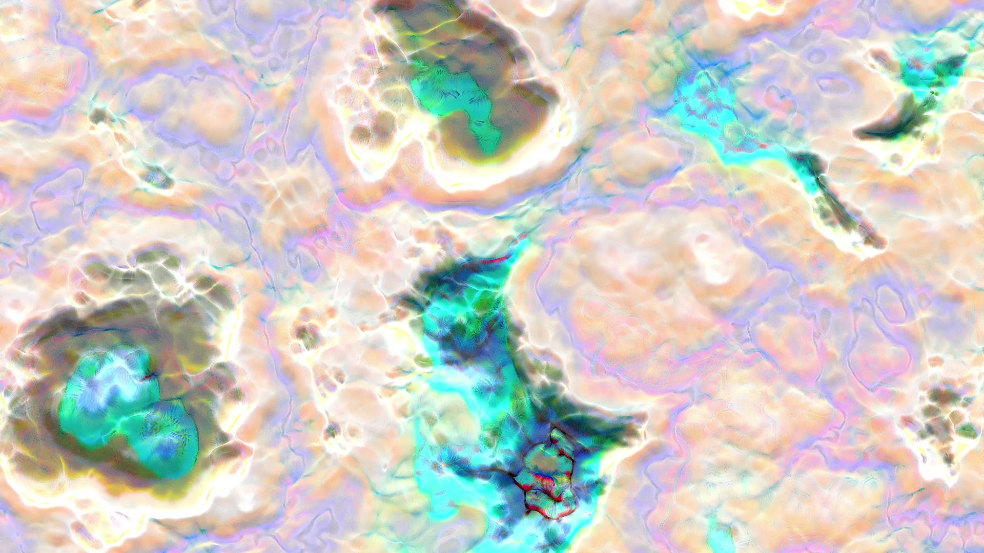 Protoloop G 106 | Organic, Orange | video loop created by Protoloops | Protobacillus | Proto