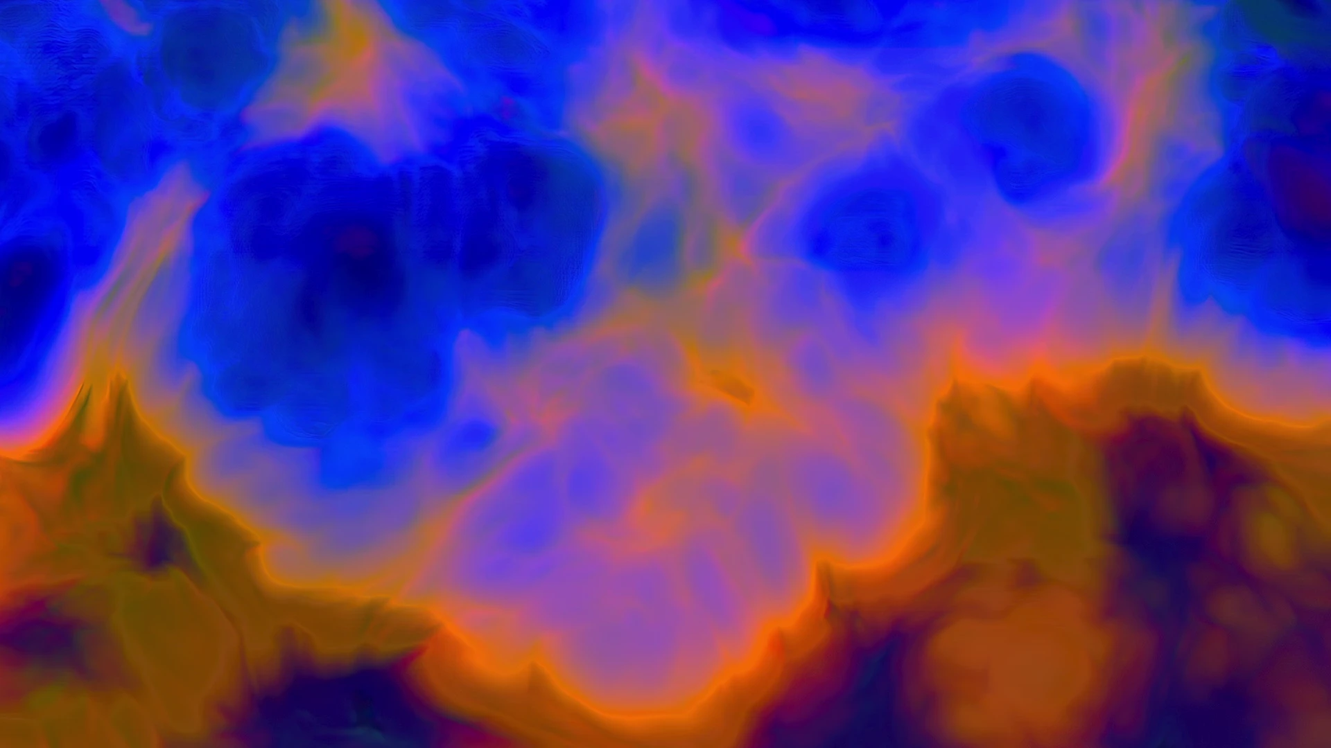 Protoloop G 107 | Organic, Orange, Blue | video loop created by Protoloops | Protobacillus | Proto