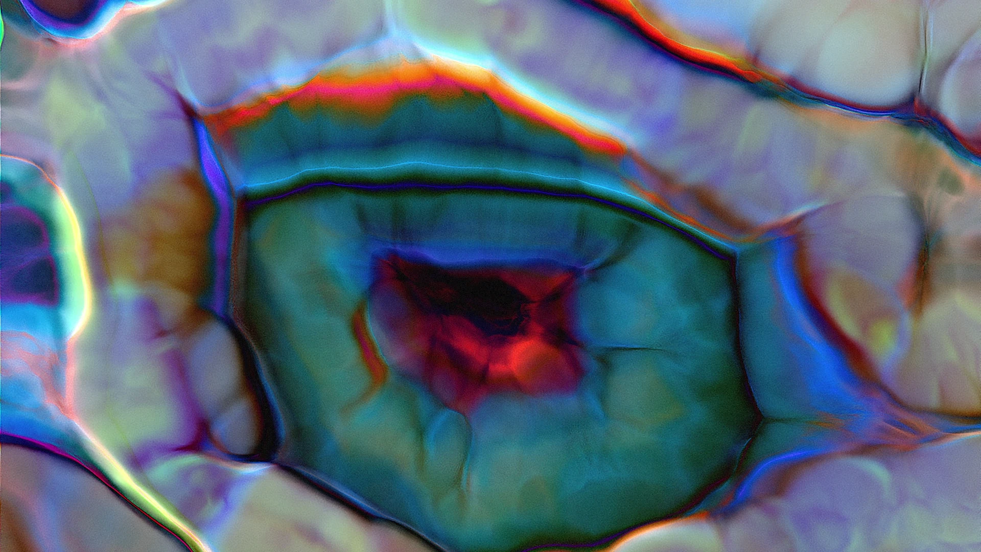 Protoloop G 113 | Organic, Bege, Blue | video loop created by Protoloops | Protobacillus | Proto