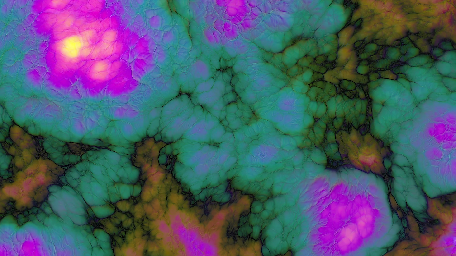 Protoloop G 123 | Dark, Green, Ocre, Organic | video loop created by Protoloops | Protobacillus | Proto