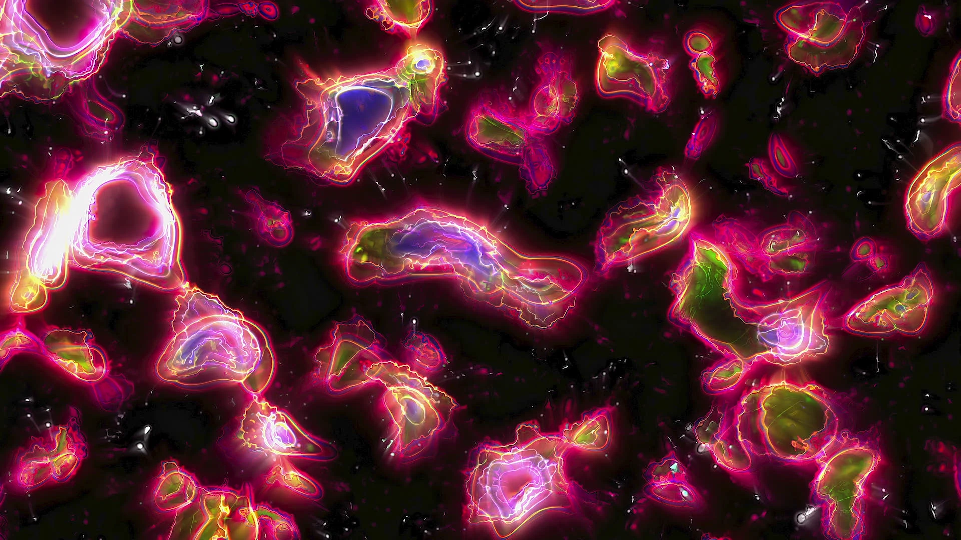 Protoloop G 151 | Dark, Red, Organic | video loop created by Protoloops | Protobacillus | Proto