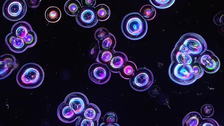 Protoloop G 173 | Organic, Dark, Purple, Light | video loop created by Protoloops | Protobacillus | Proto