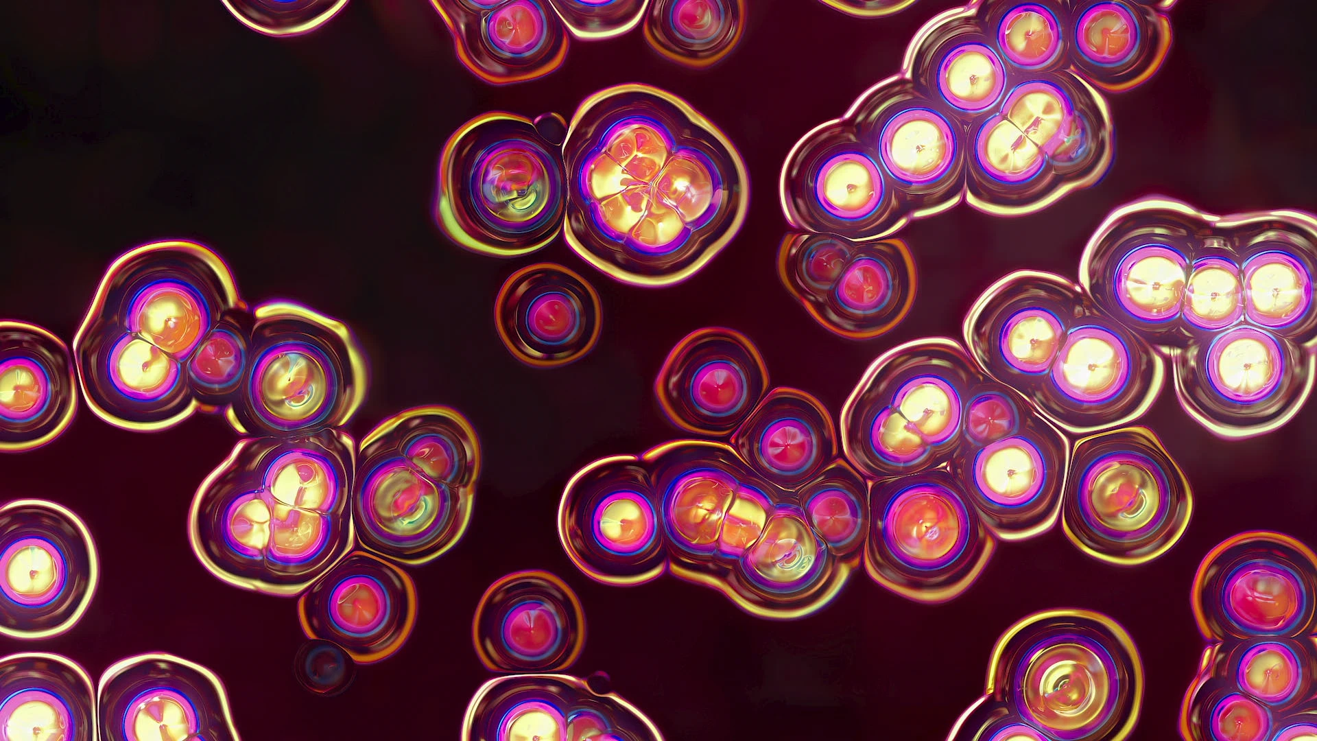 Protoloop G 174 | Light, Organic, Dark, Orange, Strobe | video loop created by Protoloops | Protobacillus | Proto