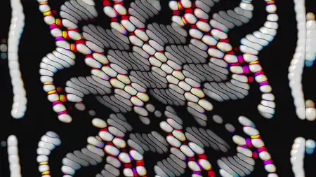 Protoloop G 185 | Pattern, White, Organic | video loop created by Protoloops | Protobacillus | Proto