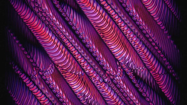 Protoloop_G_188_quality_sample Protoloop G 188 | Pattern, Organic, Pink | video loop created by Protoloops | Protobacillus | Proto