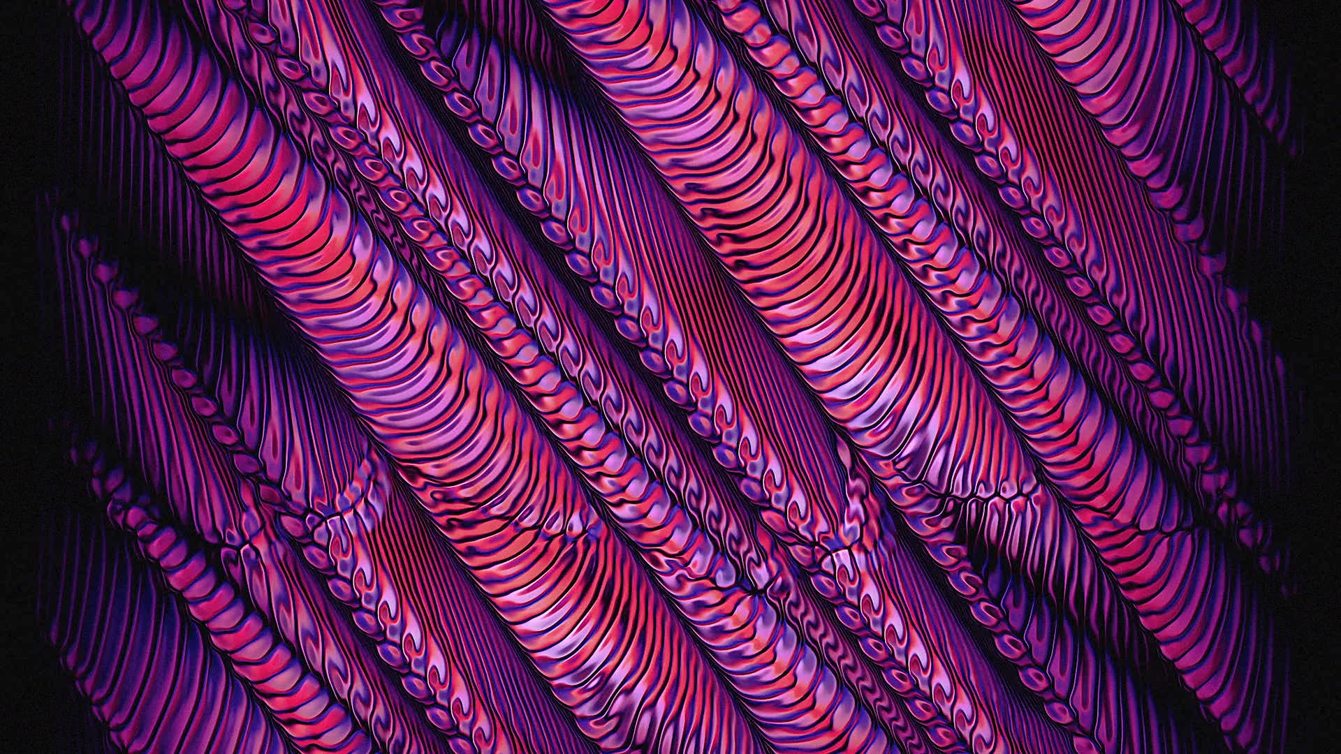 Protoloop G 188 | Pattern, Organic, Pink | video loop created by Protoloops | Protobacillus | Proto