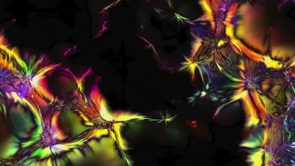 Protoloop_G_198_quality_sample Protoloop G 198 | Dark, Light, Yellow | video loop created by Protoloops | Protobacillus | Proto