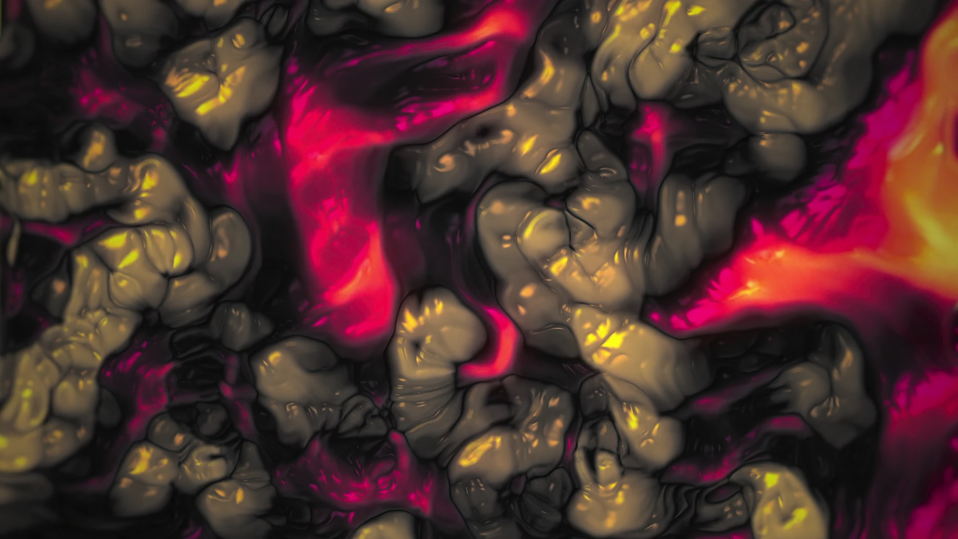 Protoloop G 207 | Organic, Plastic, Red, Bege | video loop created by Protoloops | Protobacillus | Proto