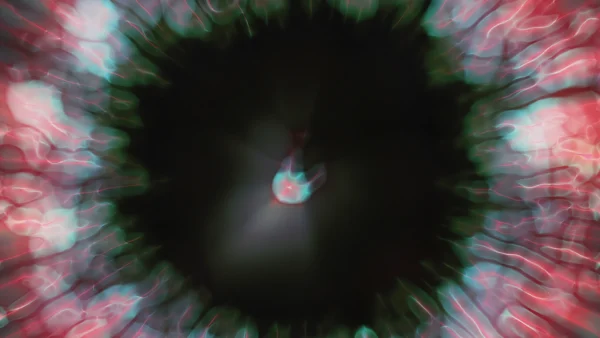 Protoloop_G_215_quality_sample Protoloop G 215 | Orange, Circle, Organic | video loop created by Protoloops | Protobacillus | Proto