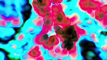 Protoloop G 266 | Organic, Orange, Purple | video loop created by Protoloops | Protobacillus | Proto