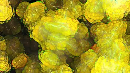 Protoloop G 267 | Organic, Strobe, Green, Purple | video loop created by Protoloops | Protobacillus | Proto