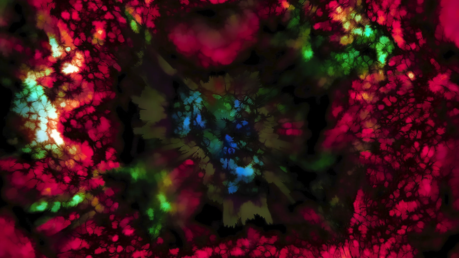 Protoloop G 272 | Liquid, Organic, Red, Green | video loop created by Protoloops | Protobacillus | Proto