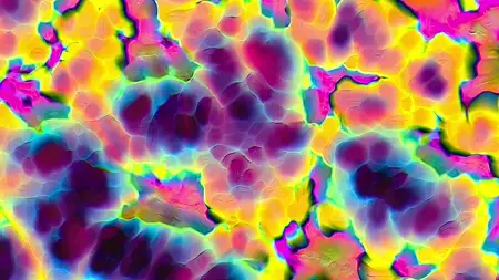 Protoloop G 278 | Organic, Yellow, Green, Pink | video loop created by Protoloops | Protobacillus | Proto
