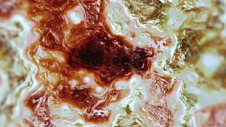 Protoloop G 279 | Organic, Light, Red, Bege | video loop created by Protoloops | Protobacillus | Proto
