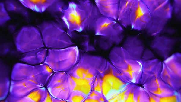 Protoloop_G_281_quality_sample Protoloop G 281 | Organic, Purple, Yellow | video loop created by Protoloops | Protobacillus | Proto