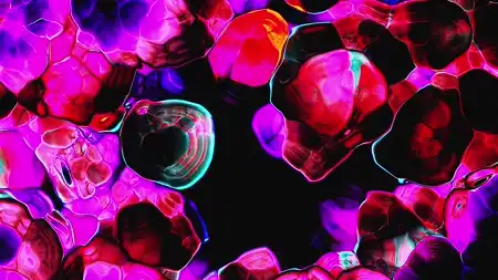 Protoloop G 282 | Organic, Pink, Dark | video loop created by Protoloops | Protobacillus | Proto