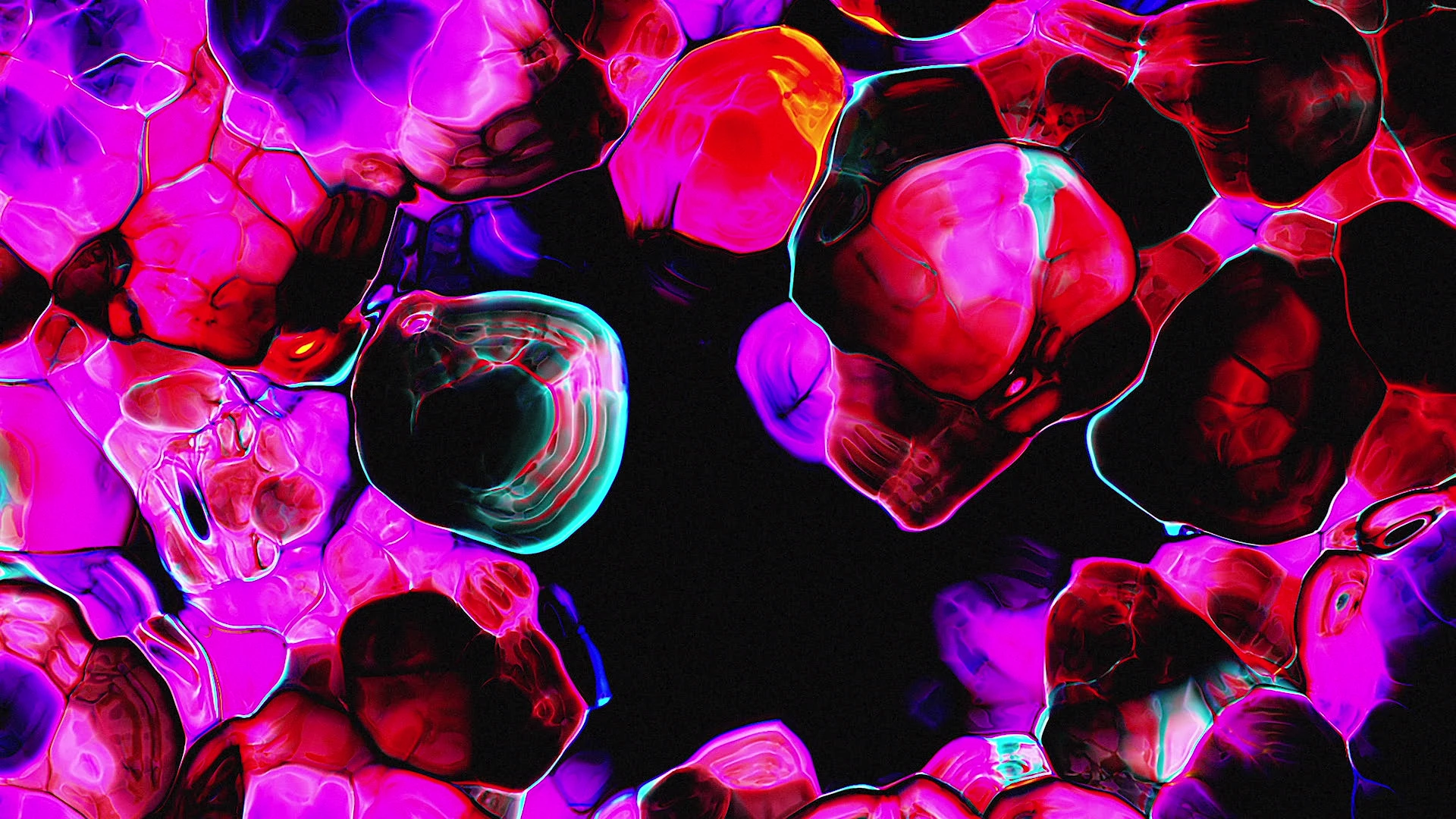 Protoloop G 282 | Organic, Pink, Dark | video loop created by Protoloops | Protobacillus | Proto