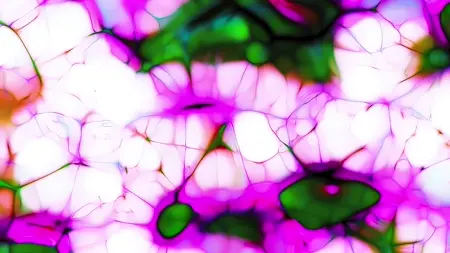 Protoloop G 284 | White, Noise, Organic | video loop created by Protoloops | Protobacillus | Proto