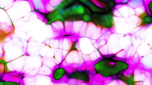Protoloop_G_284_quality_sample Protoloop G 284 | White, Noise, Organic | video loop created by Protoloops | Protobacillus | Proto