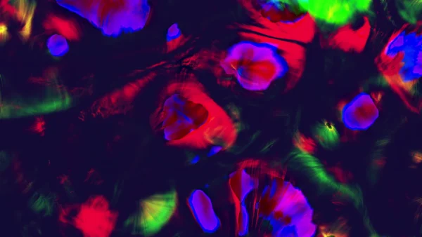 Protoloop_G_295_quality_sample Protoloop G 295 | Color, Red, Yellow, Organic | video loop created by Protoloops | Protobacillus | Proto