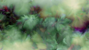 Protoloop G 322 | Organic, Purple, Pink | video loop created by Protoloops | Protobacillus | Proto