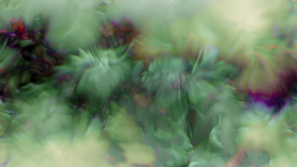 Protoloop_G_322_quality_sample Protoloop G 322 | Organic, Purple, Pink | video loop created by Protoloops | Protobacillus | Proto