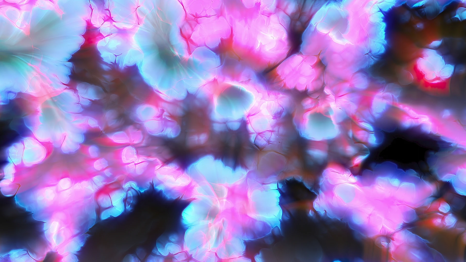 Protoloop G 324 | Organic, Pink, Blue | video loop created by Protoloops | Protobacillus | Proto