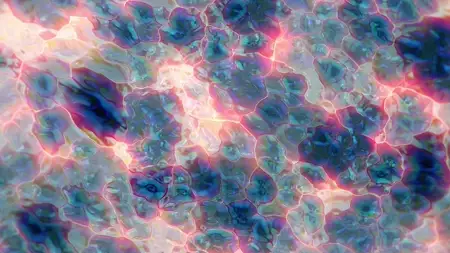 Protoloop L 188,Liquid,Wave,Red,Blue,video loop created by Protoloops | Protobacillus | Proto