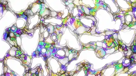 Protoloop L 200,White,Organic,video loop created by Protoloops | Protobacillus | Proto