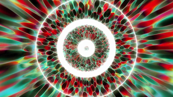Protoloop_L_212_quality_sample Protoloop L 212,Circular,Red,Green,Light,Organic,video loop created by Protoloops | Protobacillus | Proto
