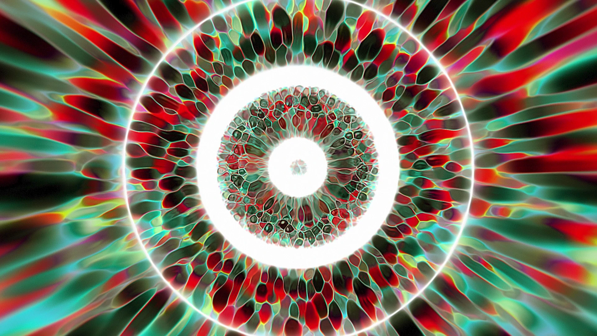 Protoloop L 212,Circular,Red,Green,Light,Organic,video loop created by Protoloops | Protobacillus | Proto